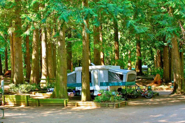 Lynden / Bellingham KOA Journey Picture 3