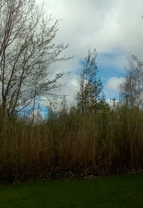 Meadow Creek MHC Picture 8