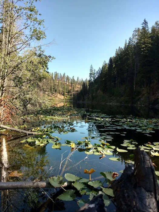 Rock Lakes Campground Picture 2