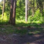 Rock Creek Campground