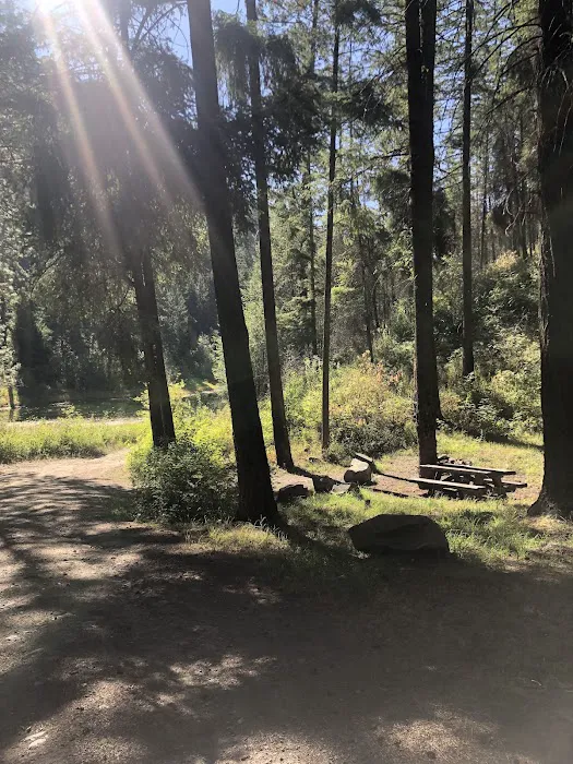 Sugarloaf Campgrounds Picture 4