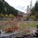 Sugarloaf Campgrounds