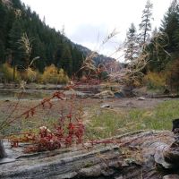 Sugarloaf Campgrounds ico