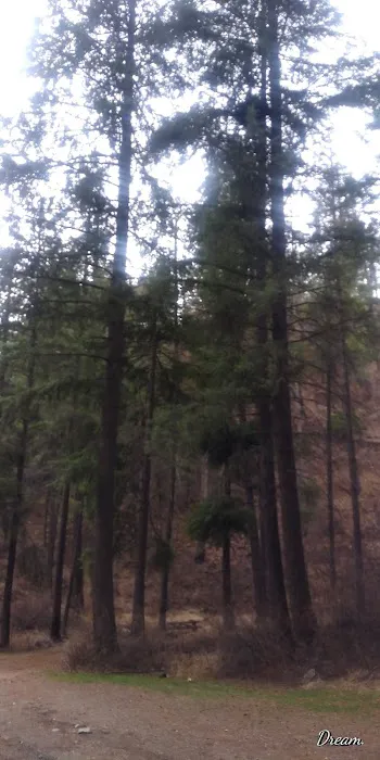 Sugarloaf Campgrounds Picture 2