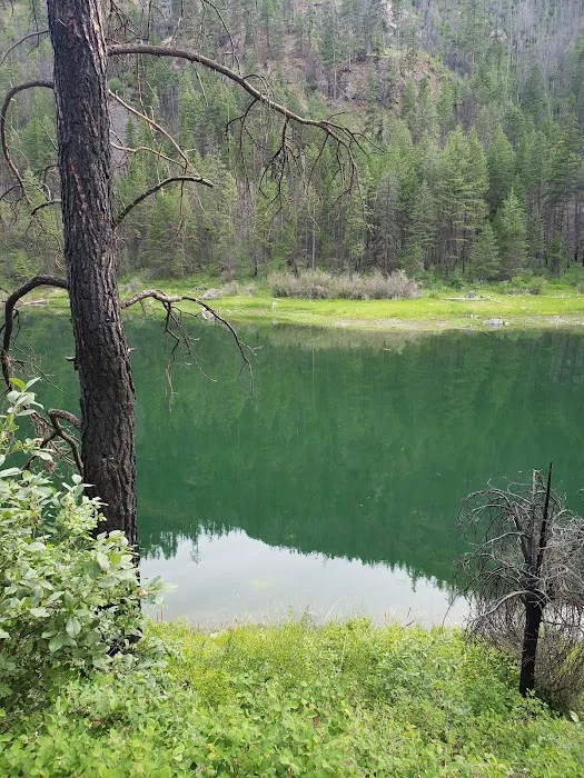 Sugarloaf Campgrounds Picture 10