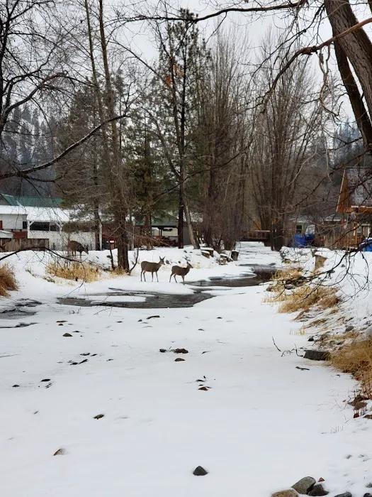 Conconully Lake Picture 2