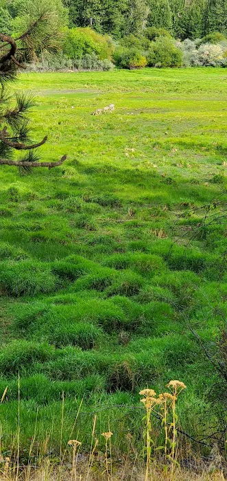 Conconully Lake Picture 5