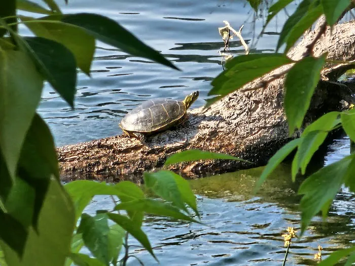 Conconully Lake Picture 6