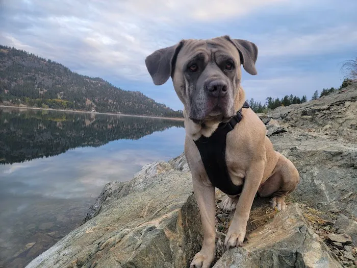 Vinegar Hill RV facility Picture 2