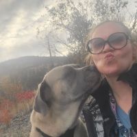 Vinegar Hill RV facility ico