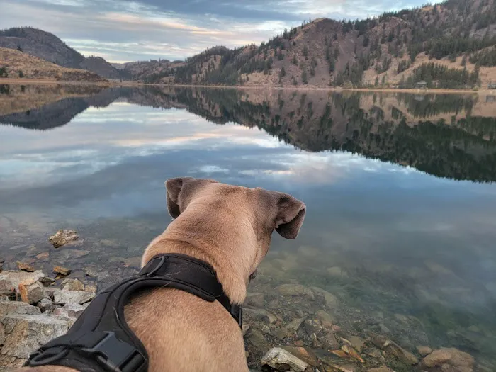 Vinegar Hill RV facility Picture 3