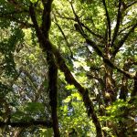 Kingfisher Group Camp