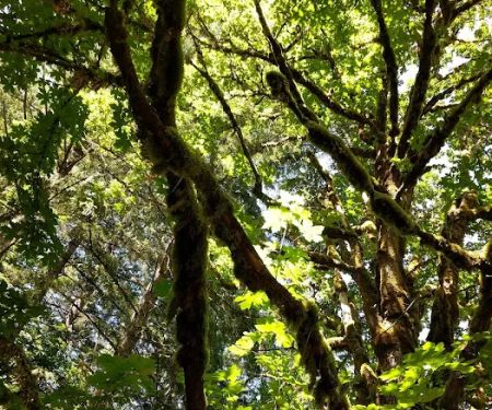 Kingfisher Group Camp