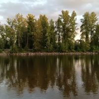 Milo Mclver State Park Campground ico