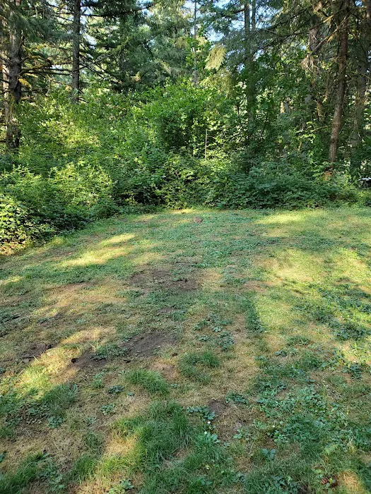 Milo Mclver State Park Campground Picture 4