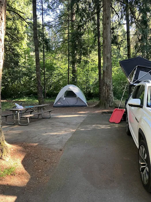 Milo Mclver State Park Campground Picture 3