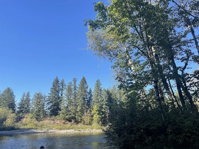 Milo Mclver State Park Campground Picture 6