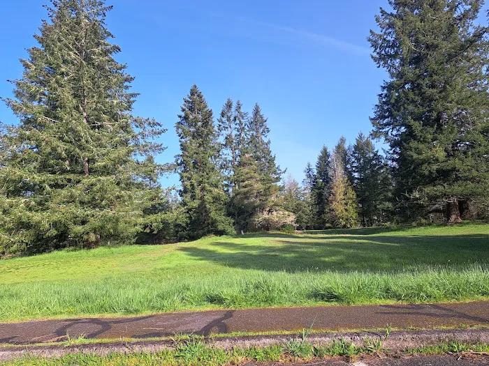 Milo Mclver State Park Campground Picture 7