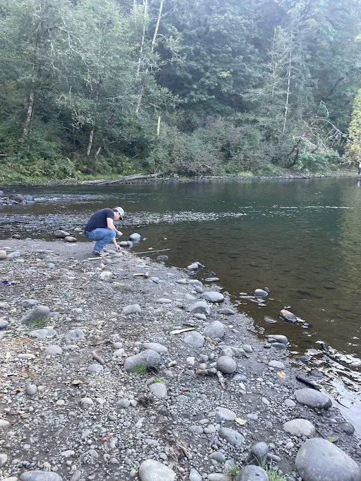 Milo Mclver State Park Campground Picture 9