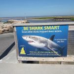 Massasoit Hills Trailer Park