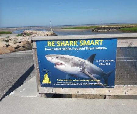 Massasoit Hills Trailer Park