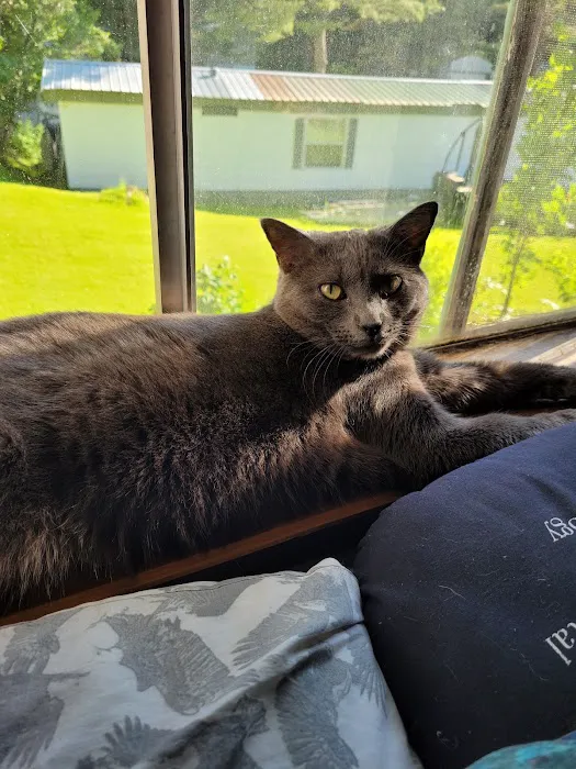 Country Village Picture 6