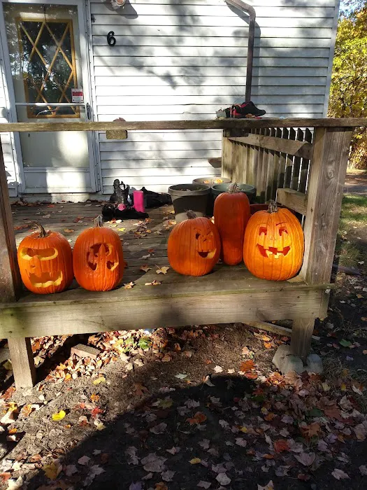 Country Village Picture 3