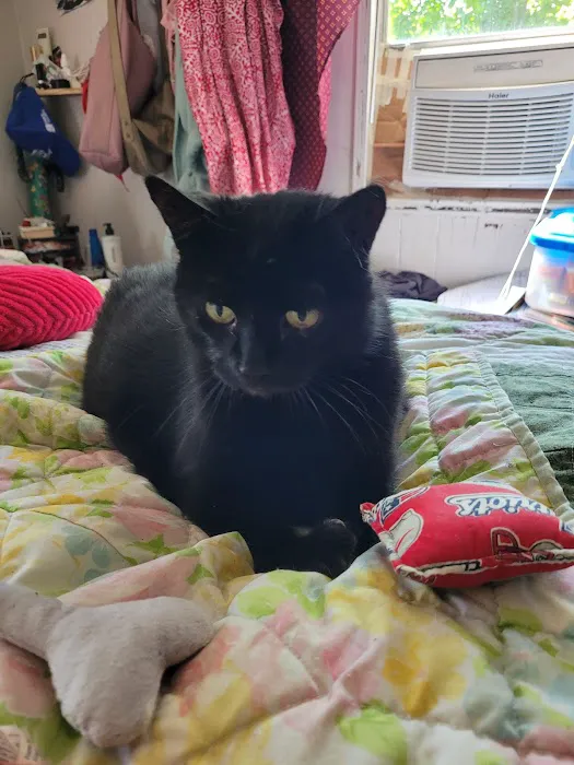 Country Village Picture 2