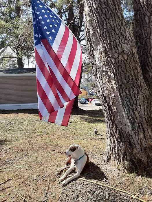 Country Village Picture 7