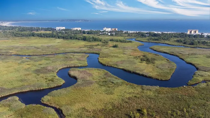 Seacoast Resort Picture 10