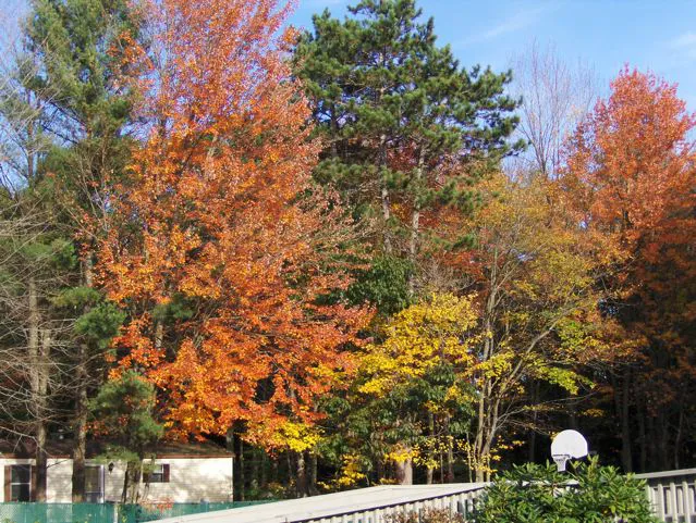 Friendly Village of Gorham Picture 2