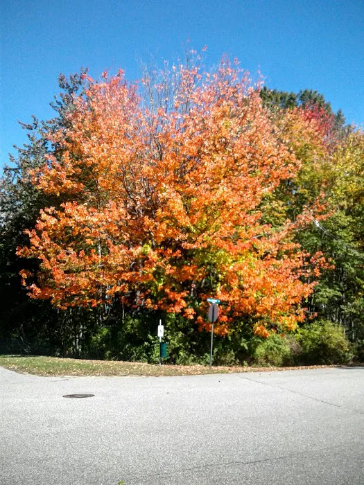 State Manufactured Homes Inc Picture 5