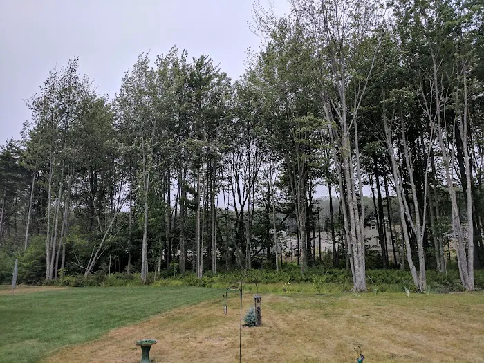 State Manufactured Homes Inc Picture 6