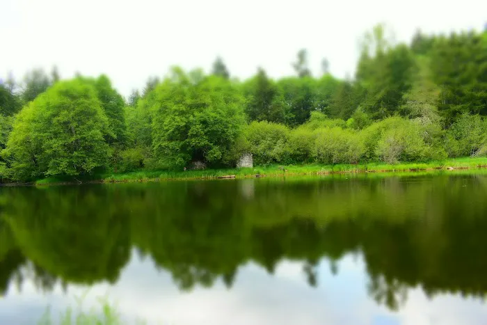 Reehers Camp Picture 6