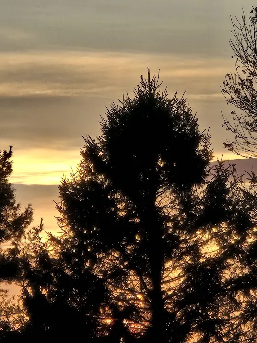 Hamlet Manufactured Home Community Picture 7