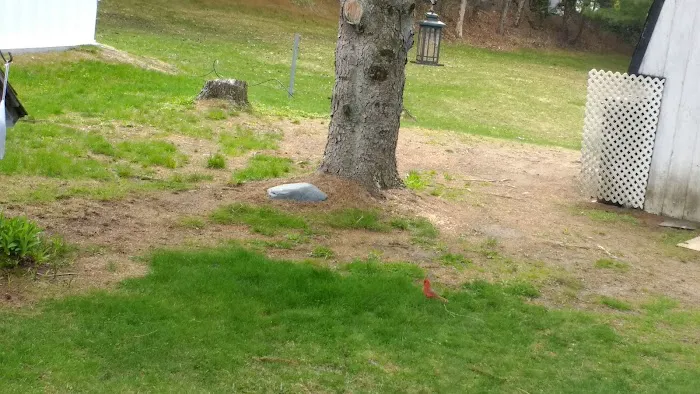 Hamlet Manufactured Home Community Picture 8