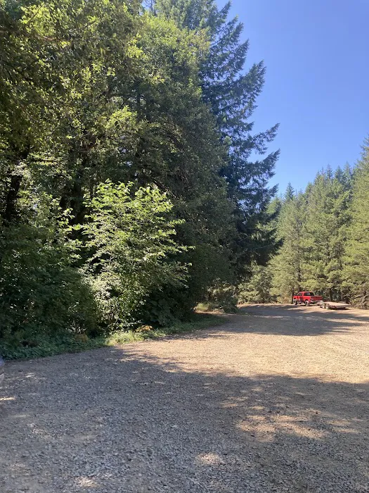 Gales Creek Campground Picture 1
