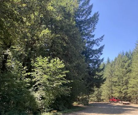Gales Creek Campground