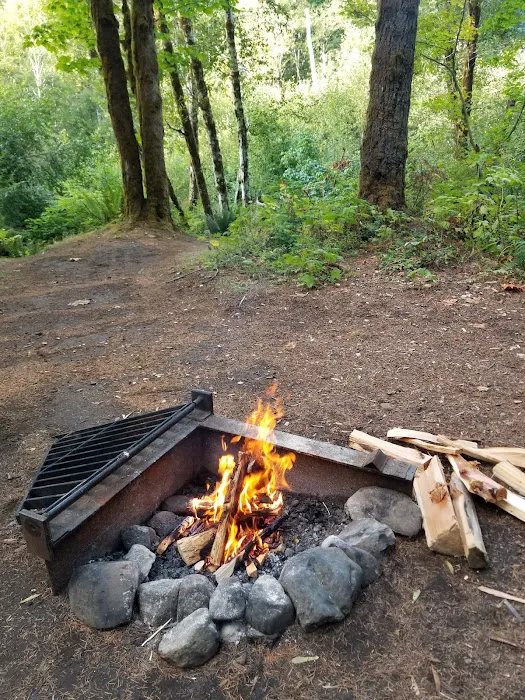 Gales Creek Campground Picture 3