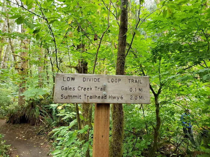 Gales Creek Campground Picture 7