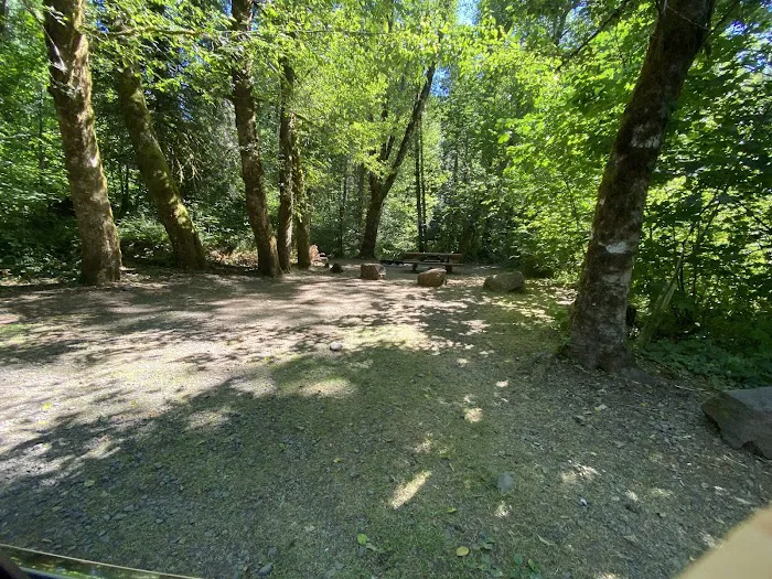 Gales Creek Campground Picture 8