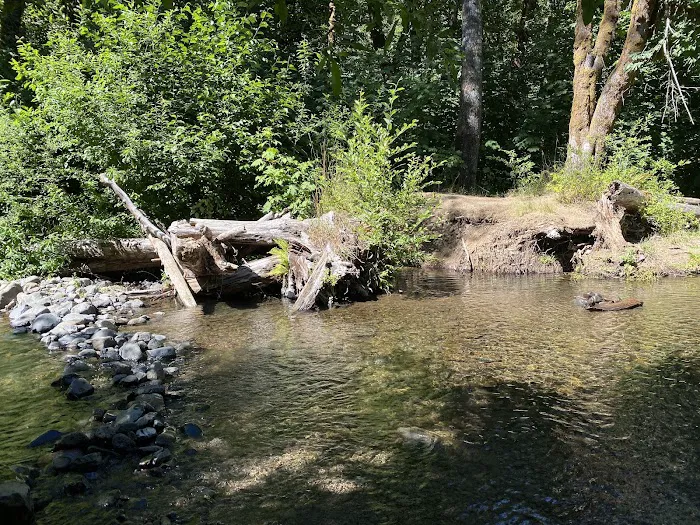 Gales Creek Campground Picture 4