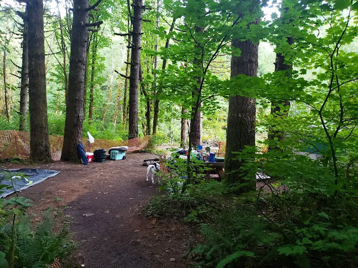 Elk Creek Campground Picture 1