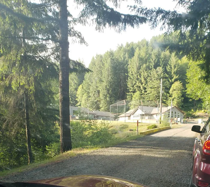South Fork Forest Camp Picture 1