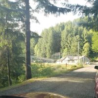 South Fork Forest Camp ico