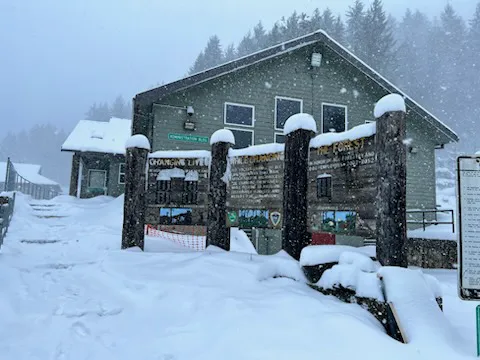 South Fork Forest Camp Picture 2