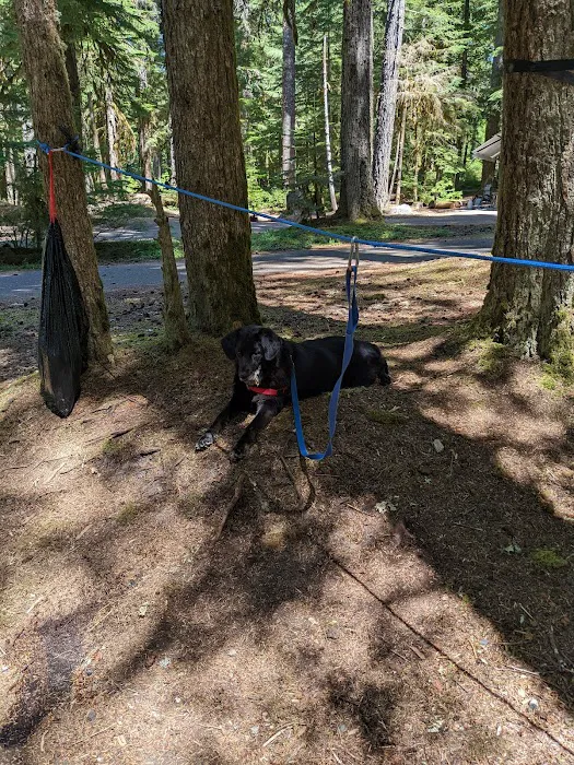 Lost Creek Campground Picture 1