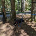 Lost Creek Campground