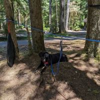 Lost Creek Campground ico