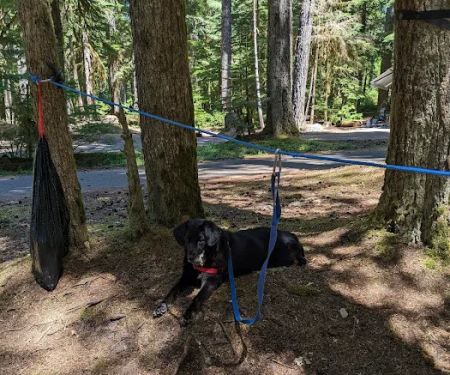Lost Creek Campground
